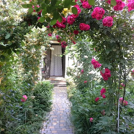 Marta Guest house