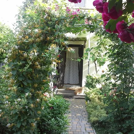 Guest house Marta Odesa
