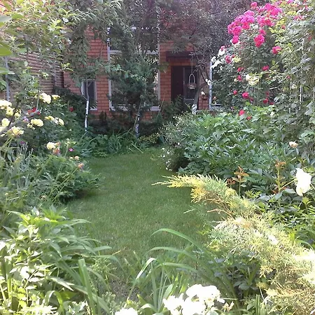 Marta Guest house Odesa